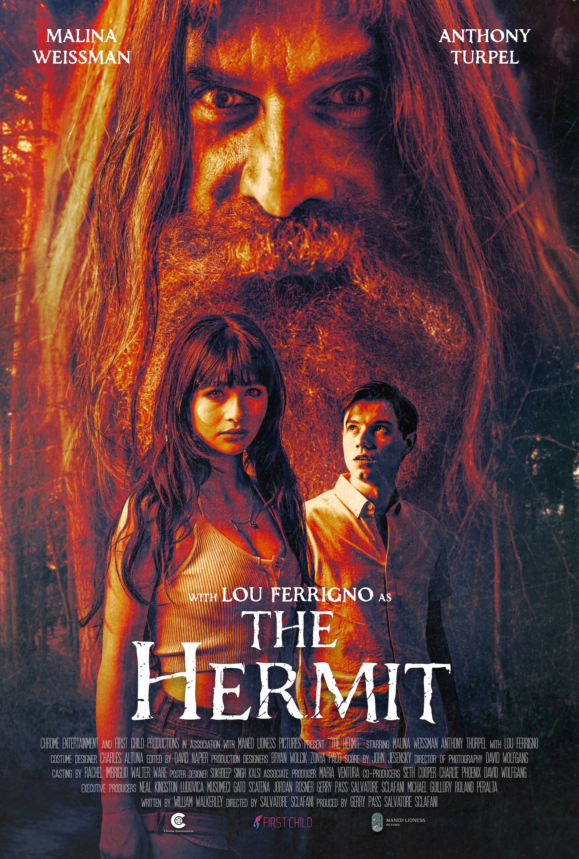 Постер The Hermit